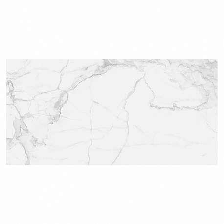 Porcelanato 60x120cm Statuario Classico Acetinado Extra ELIZABETH