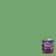 Tinta Esmalte Premium Coralit Verde Nilo Brilhante 0,9L CORAL