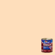 Tinta Esmalte Premium Coralit Marfim Brilhante 0,9L CORAL